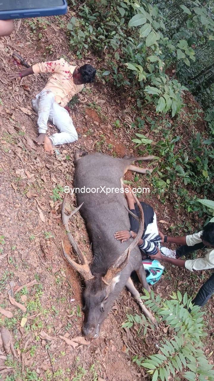 ಕಮಲಶಿಲೆ: ಕಡವೆ ಅಡ್ಡ ಬಂದು ಬೈಕ್ ಸವಾರ ಸ್ಥಳದಲ್ಲೇ ಸಾವು, ಸಹ ಸವಾರ ಗಂಭೀರ ಗಾಯ..