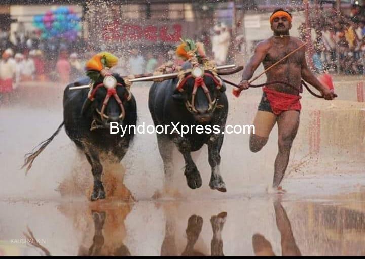 ಕಂಬಳ ಕ್ರೀಡಾ ಇಲಾಖೆ ಸ್ಥಾನಮಾನ : ಸರಕಾರದಿಂದ ಶೀಘ್ರ ಅಧಿಕೃತ ಪ್ರಕಟಣೆ, ತಿಂಗಳೊಳಗೆ ಅಸೋಸಿಯೇಷನ್ ಸ್ಥಾಪನೆಗೊಳ್ಳುವ ಸಾದ್ಯತೆ