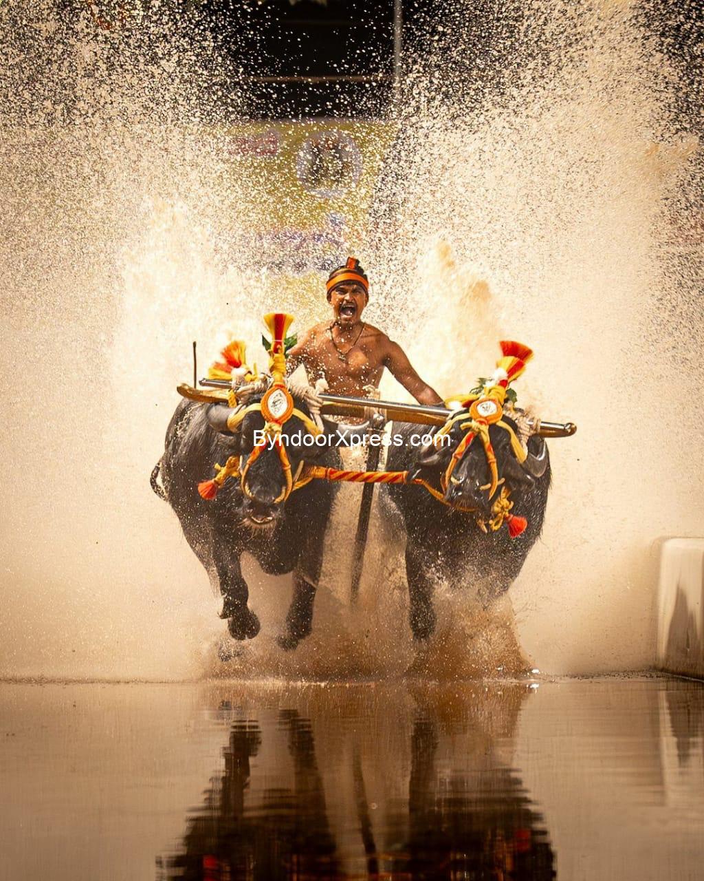 ಕ್ರೀಡಾ ಇಲಾಖೆ ಸುಪರ್ದಿಗೆ ಕರುನಾಡ ಕಂಬಳ!