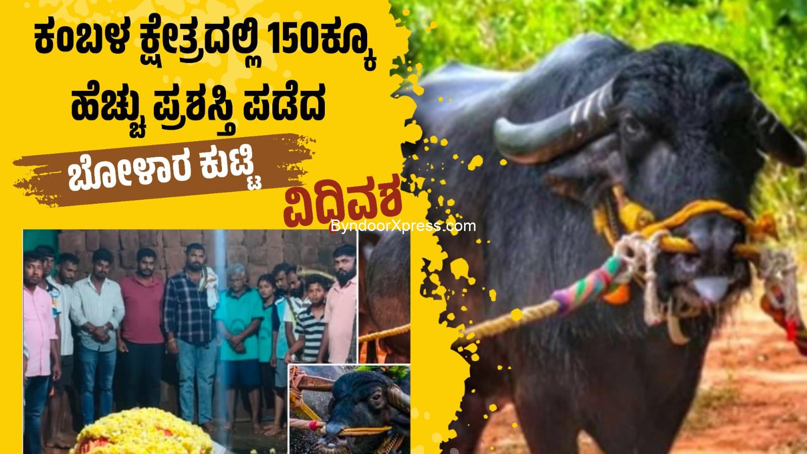 ಕಂಬಳ ಕ್ಷೇತ್ರದಲ್ಲಿ ಸಾಧನೆಗೈದ “ಕುಟ್ಟಿ”ಕೋಣ ವಿಧಿವಶ